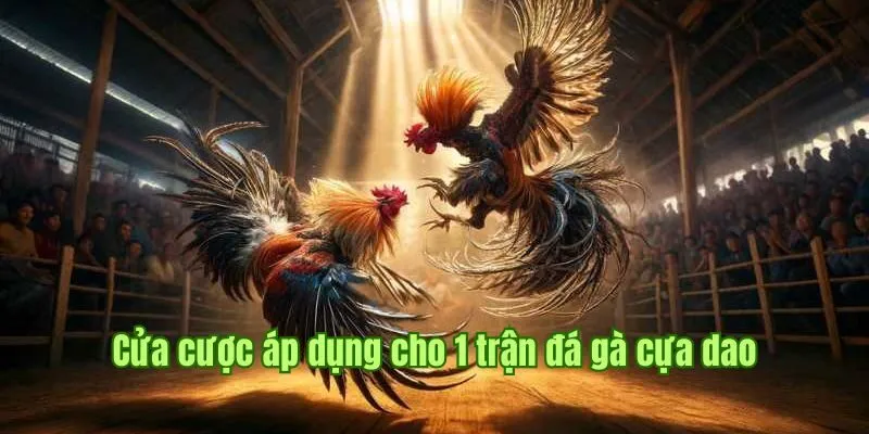 Đá Gà Cựa Dao - Siêu Phẩm Kịch Tính Hàng Đầu Tại Good88 2 Cửa cược áp dụng cho 1 trận đá gà cựa dao