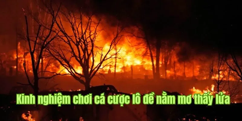 Nằm Mơ Thấy Lửa - Good88 Giải Đáp Thông Điệp Đáng Lưu Ý 3 Tổng hợp kinh nghiệm chơi cá cược lô đề khi nằm mơ thấy lửa